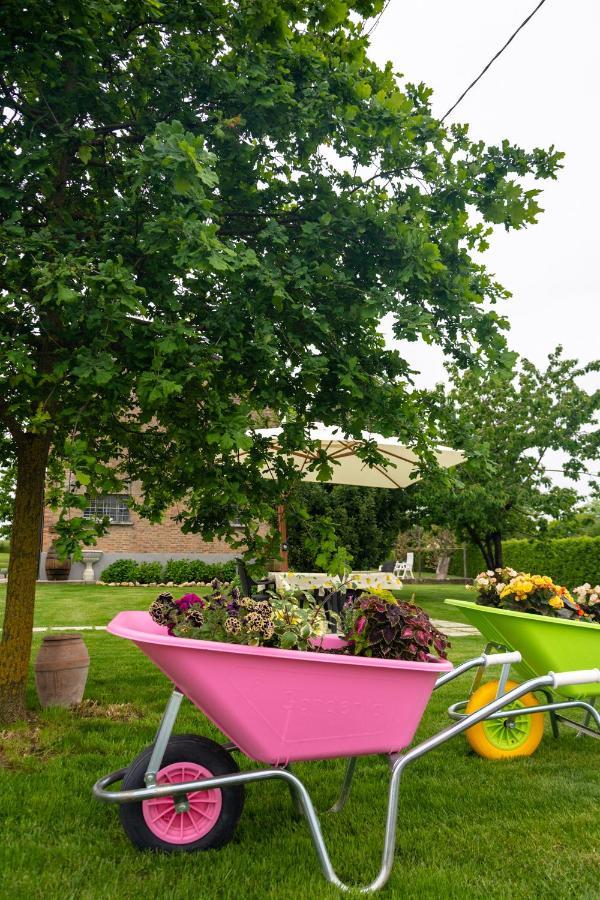 B&B Il Cere Alseno Exterior photo